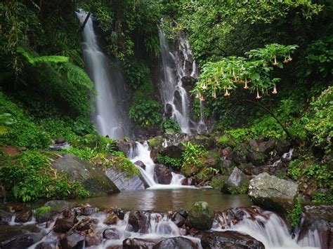 la carlota city tourist spot